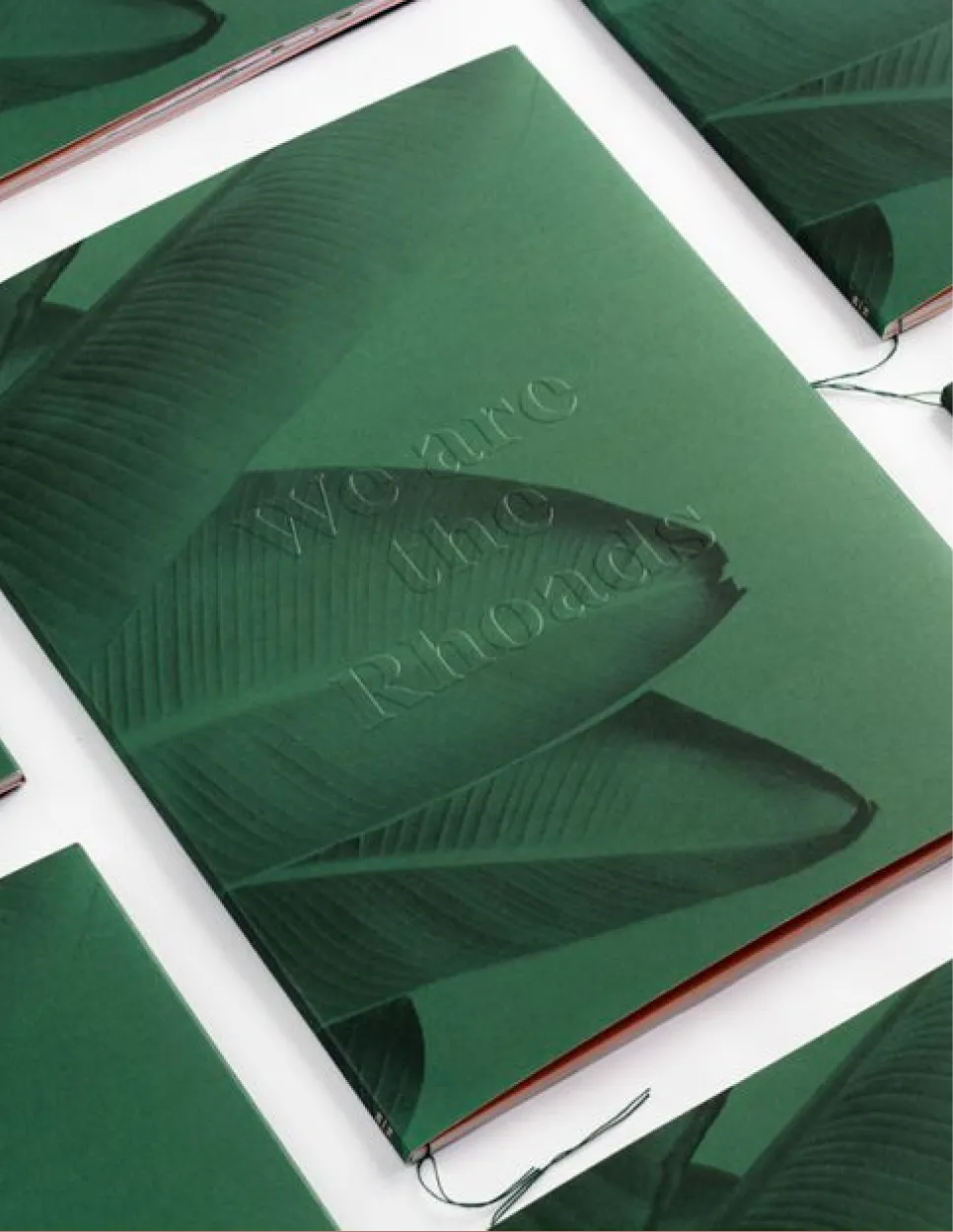 Organic & Nature Patterns