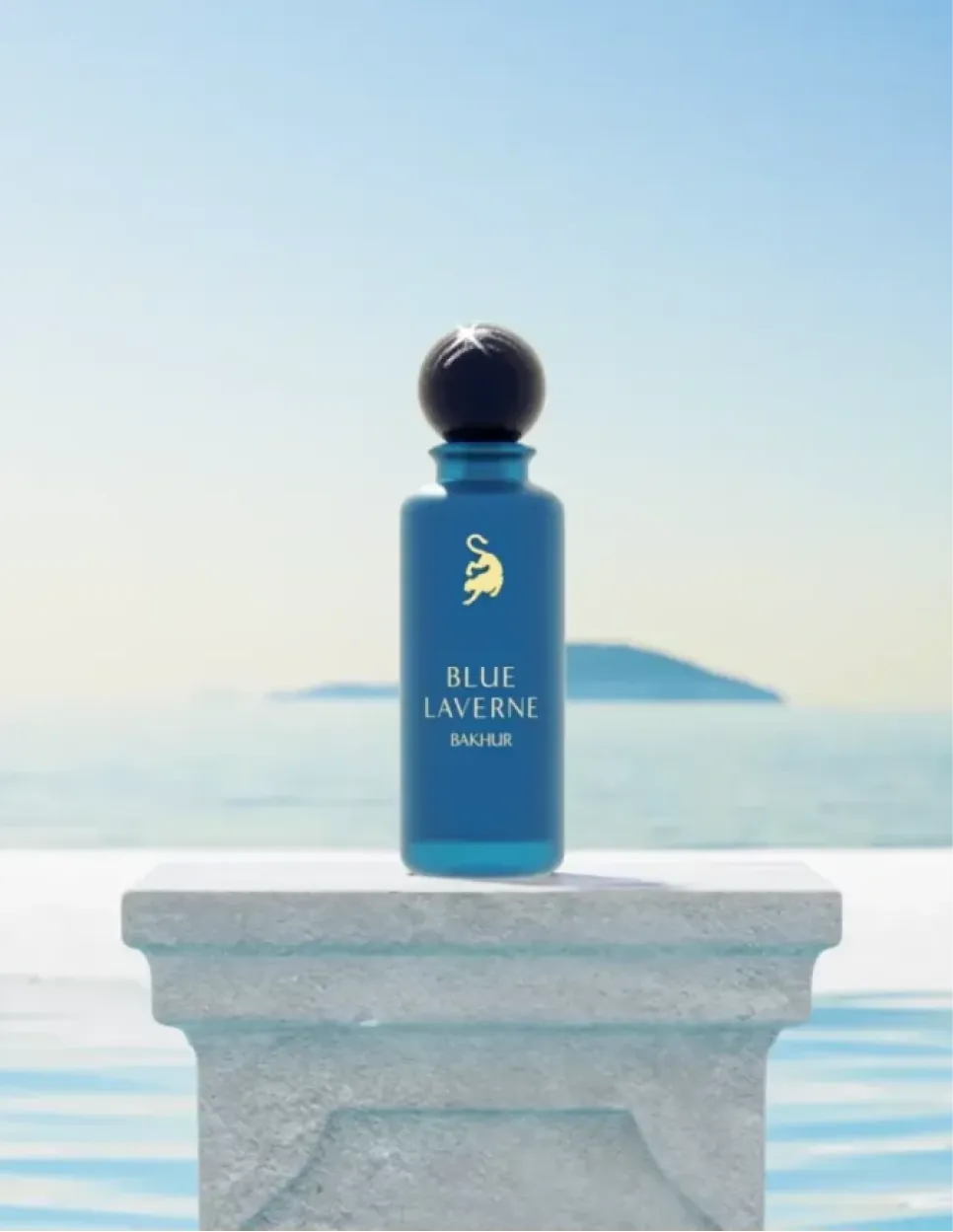 Product Launch Visuals